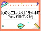 东明化工技校校长是谁中职的(东明化工校长)