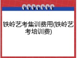 铁岭艺考集训费用(铁岭艺考培训费)