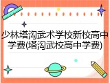 少林塔沟武术学校新校高中学费(塔沟武校高中学费)