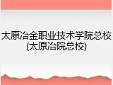 太原冶金职业技术学院总校(太原冶院总校)