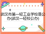 武汉市第一轻工业学校是公办(武汉一轻校公办)