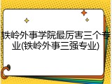 铁岭外事学院最厉害三个专业(铁岭外事三强专业)