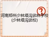 河南郑州少林塔沟武林学校(少林塔沟武校)