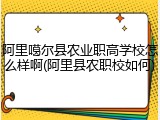 阿里噶尔县农业职高学校怎么样啊(阿里县农职校如何)