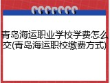 青岛海运职业学校学费怎么交(青岛海运职校缴费方式)