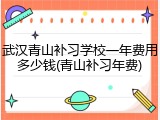 武汉青山补习学校一年费用多少钱(青山补习年费)