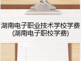 湖南电子职业技术学校学费(湖南电子职校学费)