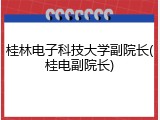 桂林电子科技大学副院长(桂电副院长)