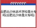 合肥北少林武术学校是大专吗(合肥北少林是大专吗)