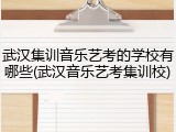 武汉集训音乐艺考的学校有哪些(武汉音乐艺考集训校)