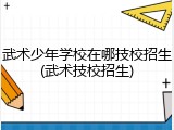 武术少年学校在哪技校招生(武术技校招生)