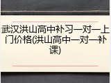 武汉洪山高中补习一对一上门价格(洪山高中一对一补课)