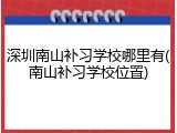 深圳南山补习学校哪里有(南山补习学校位置)