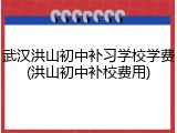 武汉洪山初中补习学校学费(洪山初中补校费用)