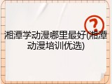 湘潭学动漫哪里最好(湘潭动漫培训优选)