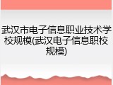 武汉市电子信息职业技术学校规模(武汉电子信息职校规模)