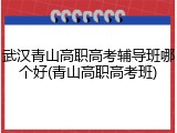 武汉青山高职高考辅导班哪个好(青山高职高考班)