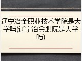 辽宁冶金职业技术学院是大学吗(辽宁冶金职院是大学吗)