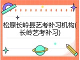 松原长岭县艺考补习机构(长岭艺考补习)