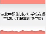湖北中职集训少年学校在哪里(湖北中职集训校位置)