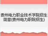 贵州电力职业技术学院招生简章(贵州电力职院招生)