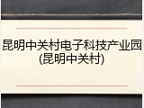 昆明中关村电子科技产业园(昆明中关村)