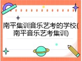 南平集训音乐艺考的学校(南平音乐艺考集训)