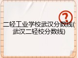 二轻工业学校武汉分数线(武汉二轻校分数线)