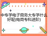 中专学电子商务大专学什么好呢(电商专科进阶)