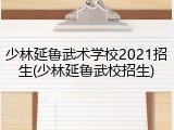 少林延鲁武术学校2021招生(少林延鲁武校招生)