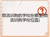 商洛训狗的学校在哪里(商洛训狗学校位置)