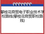攀枝花商贸电子职业技术学校路线(攀枝花商贸职校路线)