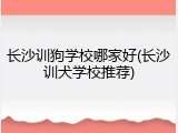 长沙训狗学校哪家好(长沙训犬学校推荐)