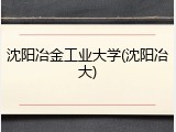 沈阳冶金工业大学(沈阳冶大)