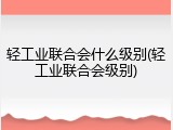 轻工业联合会什么级别(轻工业联合会级别)
