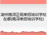 湖州南浔正规单招培训学校在哪(南浔单招培训学校)