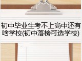 初中毕业生考不上高中还有啥学校(初中落榜可选学校)