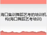海口集训舞蹈艺考的培训机构(海口舞蹈艺考培训)
