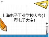 上海电子工业学校大专(上海电子大专)