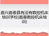 嘉兴嘉善县有没有数控机床培训学校(嘉善数控机床培训)