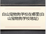 白山宠物狗学校在哪里(白山宠物狗学校地址)