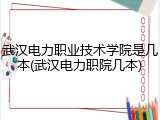 武汉电力职业技术学院是几本(武汉电力职院几本)