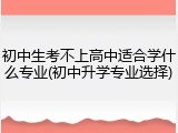 初中生考不上高中适合学什么专业(初中升学专业选择)