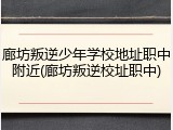 廊坊叛逆少年学校地址职中附近(廊坊叛逆校址职中)