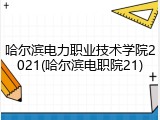 哈尔滨电力职业技术学院2021(哈尔滨电职院21)