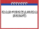 松山武术技校怎么样(松山武校如何)