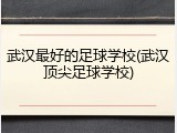 武汉最好的足球学校(武汉顶尖足球学校)