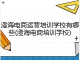 澄海电商运营培训学校有哪些(澄海电商培训学校)