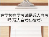 在学校自学考试是成人自考吗(成人自考在校考)