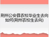 荆州公安县农校毕业生去向如何(荆州农校生去向)